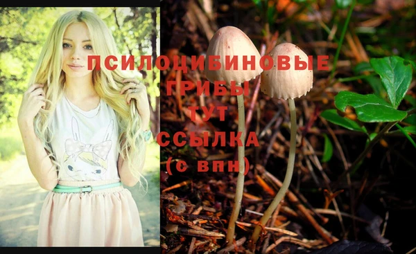 мескалин Алексеевка