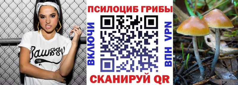 Псилоцибиновые грибы мухоморы  купить  цена  omg   Сосенский 